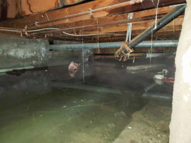 Best 24-hour water damage restoration  in Powdersville, SC