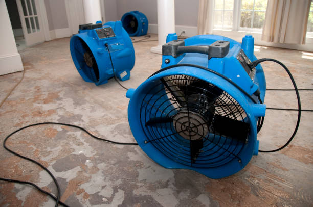 Best Water damage restoration specialists  in Powdersville, SC