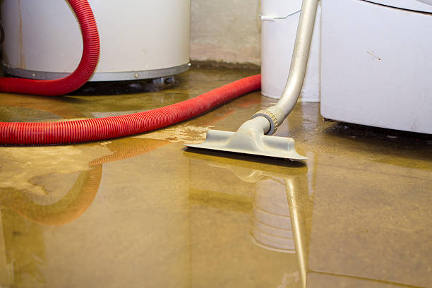 Best Water damage cleanup near me  in Powdersville, SC